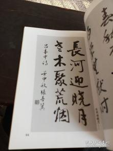 冀书法视频,传承与创新之旅