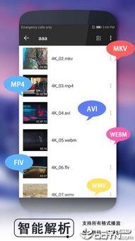 免费视频播放,揭秘无广告、高质量观影体验的秘密